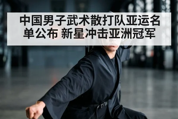 中国男子武术散打队亚运名单公布 新星冲击亚洲冠军